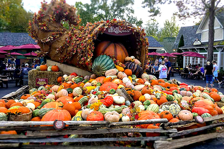 DollyWood Pumpkins