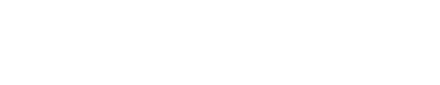 Unlock the Smokies: First Class Mountain Properties
