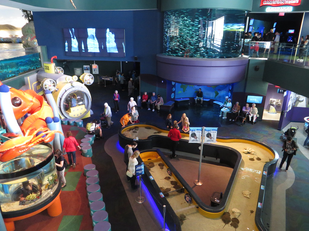 Ripleys Aquarium Discovery Center