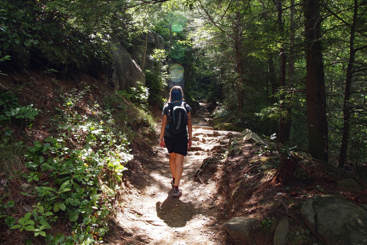 Smoky Mountain Hiking.jpg