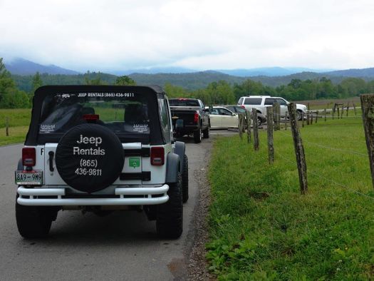 Image for Jeep Rentals in the Smokies