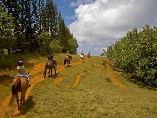 Image for Horseback Riding Stables in the Smokies