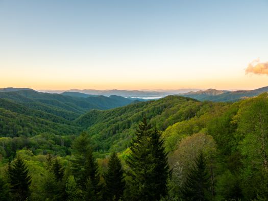 Image for Book Your Smoky Mountain Spring Break Today