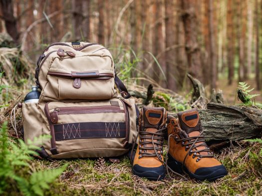 Image for What to Bring on Your Afternoon Smoky Mountain Hike