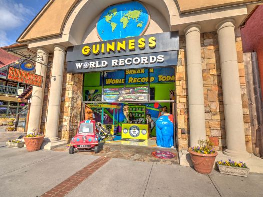 Image for Guiness Book of World Records Museum
