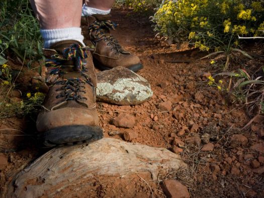 Image for Rainbow Falls Trail Renovations