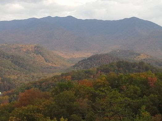 Image for Enjoy Quiet, Serene Atmosphere at Secluded Cabins in Gatlinburg Area