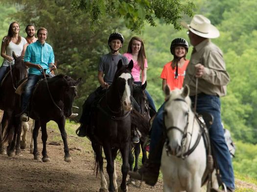 Image for Five Oaks Riding Stables