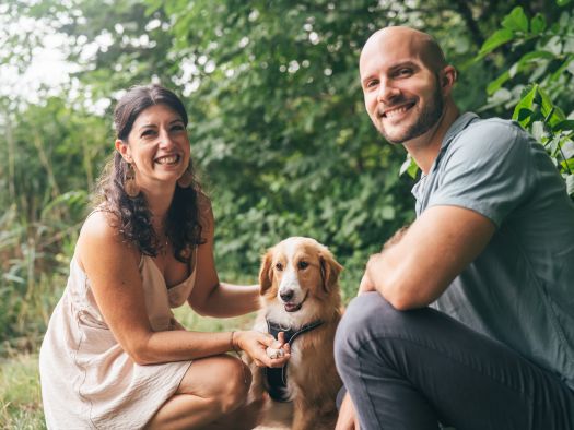 Image for 3 Indoor Activities With Pets in the Smokies