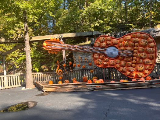 Image for 3 Fall Festivals You Should Attend in the Smoky Mountains