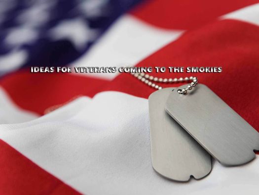 Image for Ideas For Veterans Coming to the Smokies