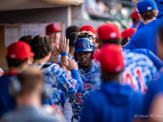 Image for Smokies Baseball (Minor League)