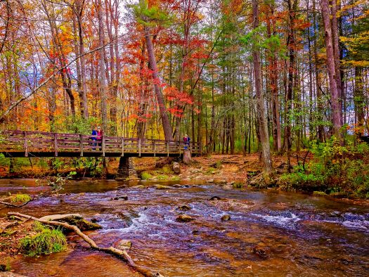 Image for How to Make the Most of a Cozy Cabin Weekend in November in the Smokies