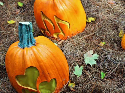 Image for Family-Friendly Halloween Activities in the Smokies