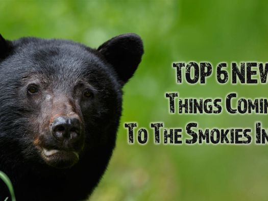 Image for TOP 6 NEW Things Coming To The Smokies in 2019!