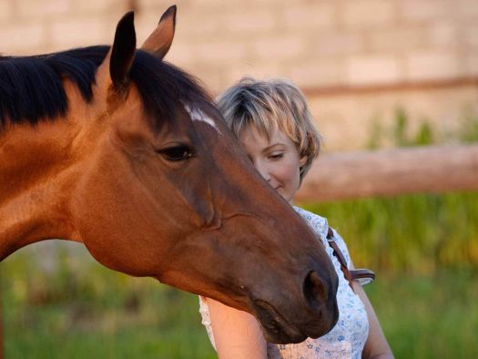 Image for French Broad Riding Stables