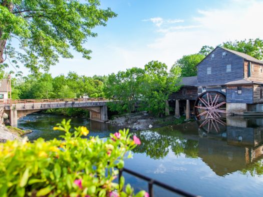 Image for 8 Activities to Do With the Kids in Pigeon Forge