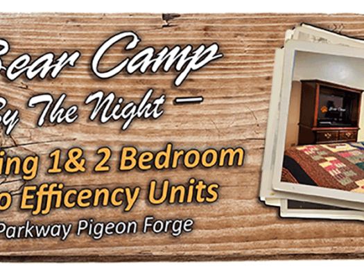 Image for Bear Camp By The Night