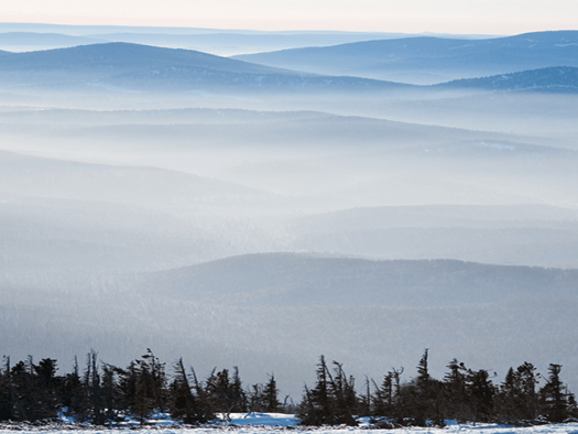 Image for Winter Hiking in the Smokies