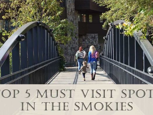 Image for Top 5 Must Visit Spots in the Smokies