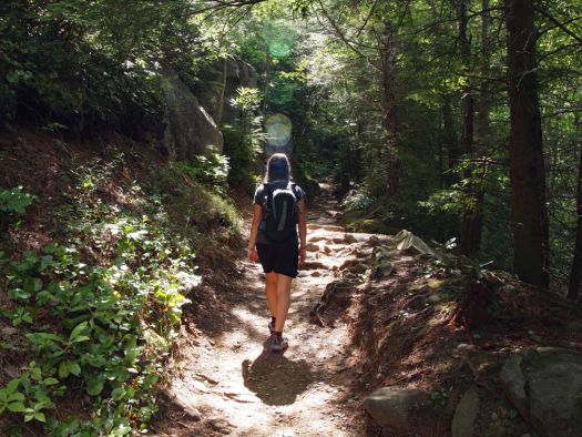 Image for 5 Top Hiking Trails in the Great Smoky Mountains