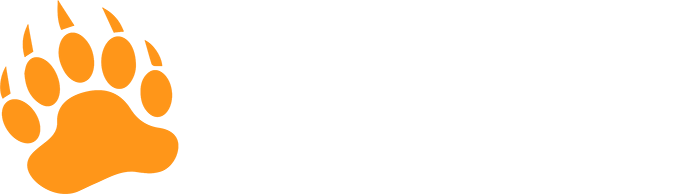 bear camp logo