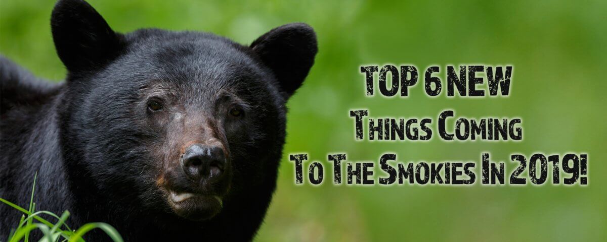 top 6 new things