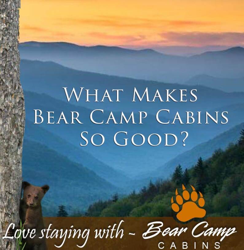 What-Makes-Bear-Camp-Cabins-So-Good.jpg